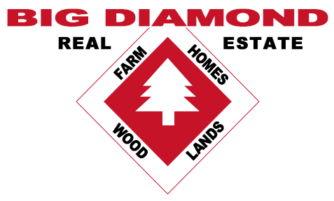 Big Diamond Real estate in McDonough, New York